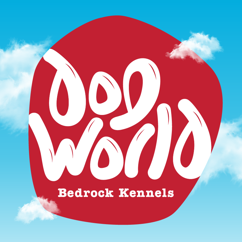 Dog World Bedrock Kennels Brand Identity Portfolio Page